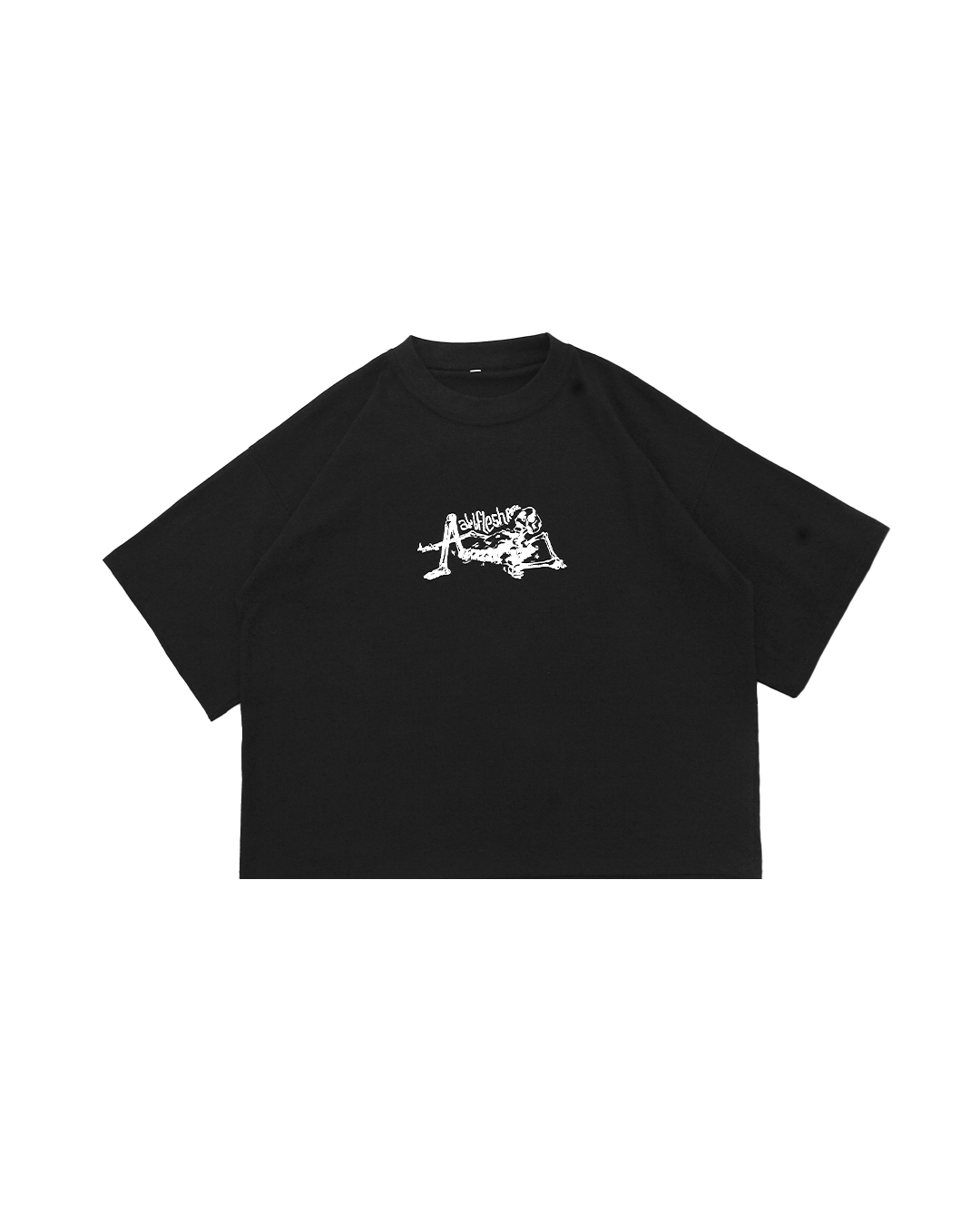 "ALL FLESH ROTS" graphic tee